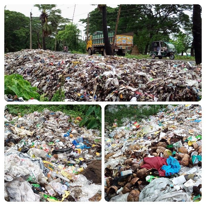 চরফ্যাশন শহর ময়লার ভান্ডার আবর্জনায় রোগের প্রাদুর্ভাব