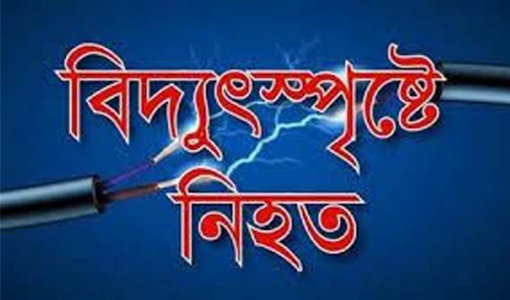 ভোলায় বিদ্যুৎ স্পৃষ্ট হয়ে নারীসহ ২ জন নিহত