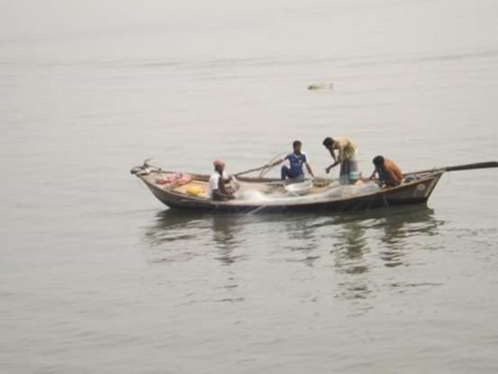 ভোলায় অভিযানের পরও মেঘনায় চলছে মা ইলিশ শিকার