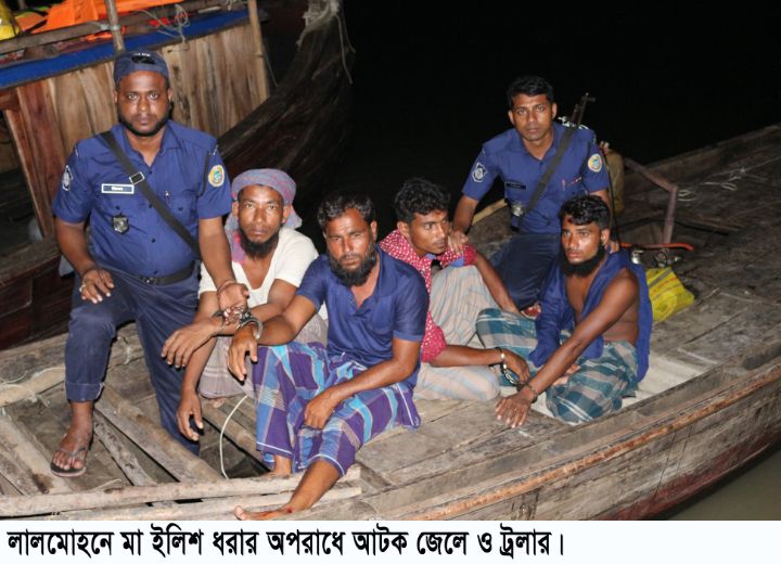 ভোলার মেঘনা-তেঁতুলিয়া নদীতে নির্বিঘ্নে চলছে ইলিশ শিকার
