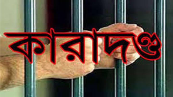 মনপুরার মেঘনায় অবৈধভাবে মা ইলিশ ধরায় ৪ জেলের ১ বছর কারাদন্ড