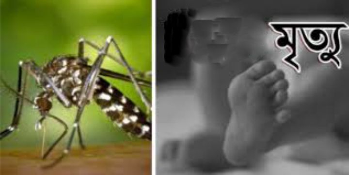 ডেঙ্গু জ্বরে আক্রান্ত হয়ে ভেলুমিয়ার এক বৃদ্ধের মৃত্যু