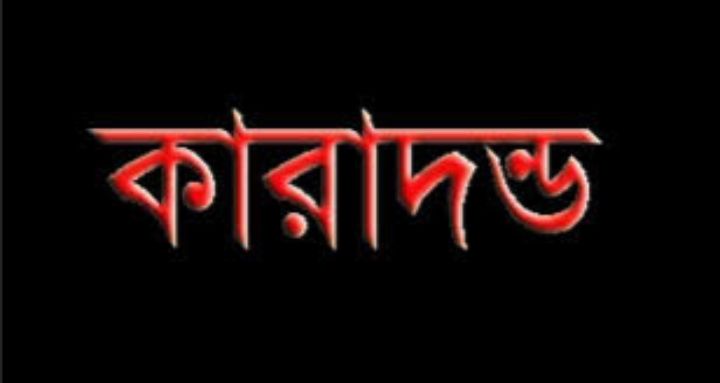দৌলতখানে মা ইলিশ বিক্রি করায় বিক্রেতার কারাদন্ড