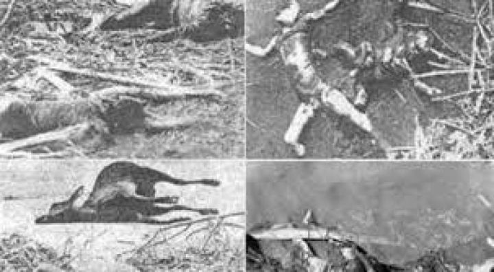 আজ সেই ভয়াল ১২ নভেম্বর