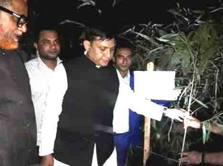 বঙ্গবন্ধুর নামের সড়কে বৃক্ষ রোপণ করলেন এমপি শাওন