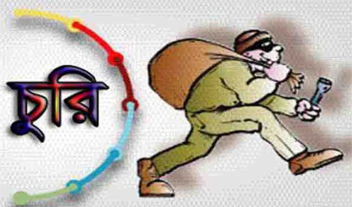 ভোলার রাজাপুরে ৫ টি বাড়িতে দুর্র্ধষ চুরি