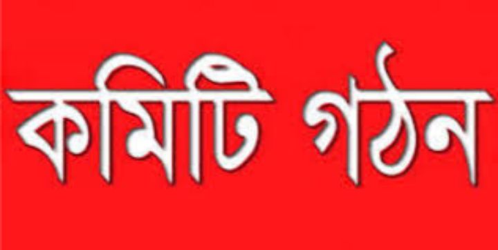 ভোলায় ট্রলার ডুবির ঘটনায় তদন্ত কমিটি গঠন