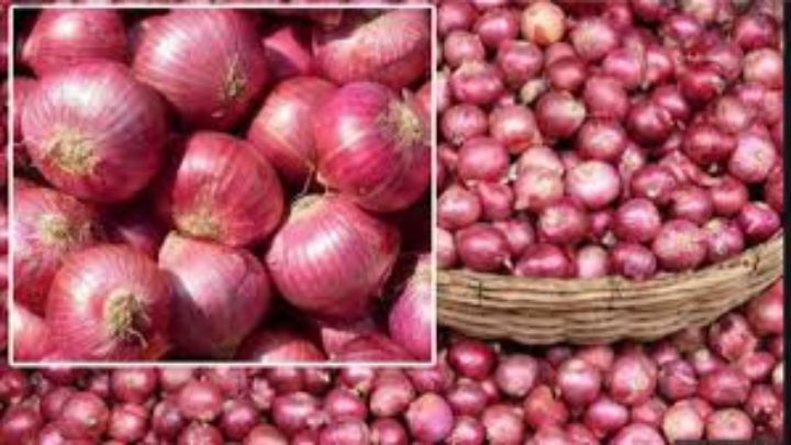 ভোলায় ৪৫ টাকা কেজি দরে টিসিবি’র পেঁয়াজ বিক্রি শুরু