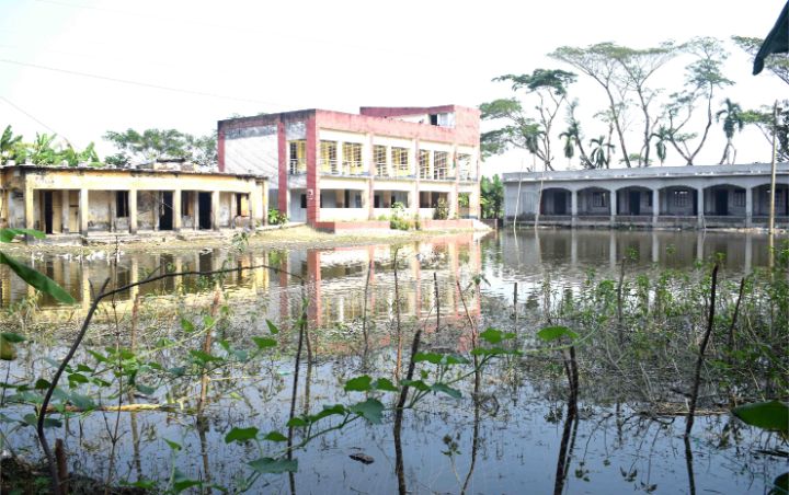 লালমোহনে বিদ্যালয় মাঠে প্রধান শিক্ষকের মাছ চাষ!