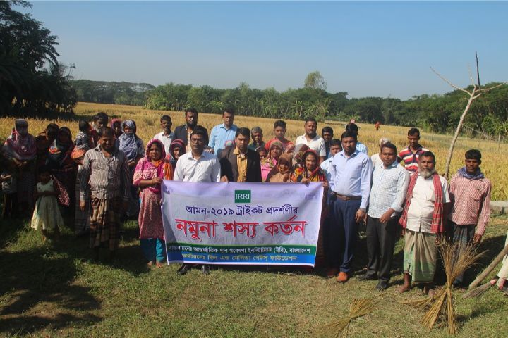 গ্রামীণ জন উন্নয়ন সংস্থার আয়োজনে নমুনা শষ্য কর্তন