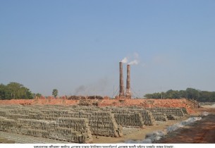 চরফ্যাশনে অর্ধশত অবৈধ ইট ভাটায় পোড়ানো হচ্ছে কাঠ