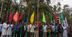 ইলিশায় উৎসব মুখর পরিবেশে টি-১০ ক্রিকেট লীগ শুরু