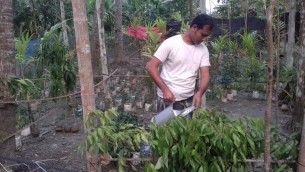 চরফ্যাশনে নার্সারি করে বেকার যুবক শফিকুলের ভাগ্যবদল