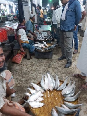 চরফ্যাশনে রমরমা  ইলিশের বাণিজ্য