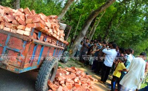 ভোলায় সড়ক দুর্ঘটনায় দুই জন নিহত