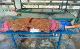 ভোলায় মাইক্রোবাস ও অটোরিকসার সংঘর্ষে নিহত-১: আহত ১০