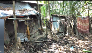 লালমোহনে বসত বাড়ি জ্বালিয়ে দেয়ার চেষ্টা দুর্বৃত্তদের