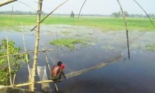চরফ্যাশনে টাঙ্গা জালে  ৫ মিশালি মাছ শিকার