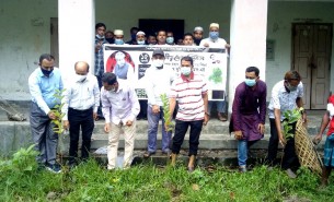 ভোলায় বঙ্গবন্ধুর শাহাদাত বার্ষিকী উপলক্ষে পৌর বালিকা মাধ্যমিক স্কুলে  বৃক্ষরোপণ