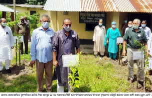 বোরহানউদ্দিনে বঙ্গবন্ধুর শাহাদাত বার্ষিকী স্মরণে বৃক্ষরোপন