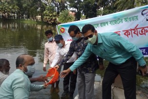 ভোলায় জলাশয়ে মাছের পোনা অবমুক্ত করণ কর্মসূচি পালিত