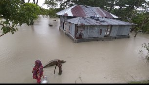 মনপুরায় আবারও ৪ গ্রাম প্লাবিত