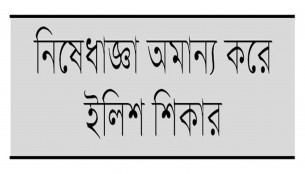 ভোলায় মা ইলিশ শিকারের দায়ে ৪৮ জেলের জেল-জরিমানা