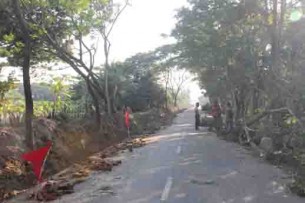 ভোলায় বন বিভাগের গাছের মালিকানা নিয়ে দ্বন্দ্ব