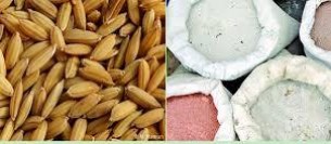 ভোলায় ২০ হাজার ৬’শ কৃষকের মাঝে বিনামূল্যে বীজ সার বিতরণ করা হবে
