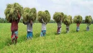 উৎসবের ঋতু  হেমন্ত কাল