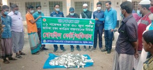 তজুমদ্দিনে জাটকা ইলিশ জব্দ