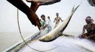 আজ থেকে ভোলাসহ ৬ জেলায় দুই মাস মাছ ধরা নিষিদ্ধ