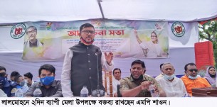শেখ হাসিনা মানে দেশের  উন্নয়ন: এমপি শাওন