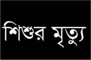চরফ্যাসনে গাছের ডাল পড়ে শিশুর মৃত্যু