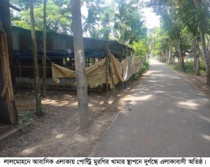 লালমোহনে আবাসিক এলাকায় পোল্ট্রি মুরগির খামারের দুর্গন্ধে অতিষ্ঠ এলাকাবাসী