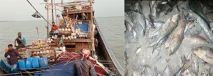ভোলায় সমুদ্রে মাছ শিকারের অপরাধে ১৩ জেলে আটক