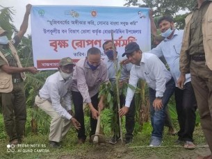 ভোলায় এক লাখ ২০ হাজার গাছের চারা রোপন শুরু