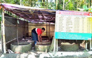 লালমোহনে জনপ্রিয় হয়ে উঠছে ভার্মি কম্পোস্ট সার