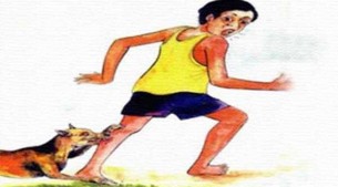 ভোলার লালমোহনে কুকুরের হিংস্রতায় এক সপ্তাহে ১৫ জন আক্রান্ত