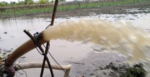 ভোলায় ২০ হাজার হেক্টর    জমির ফসল  প্লাবিত