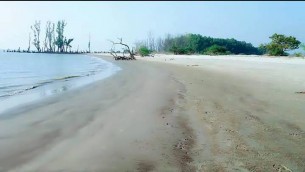 চরফ্যাসনের তাড়–য়া হতে পারে  দেশের অন্যতম সমুদ্র সৈকত