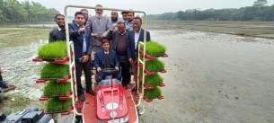 ভোলায় রাইস ট্রান্সপ্লান্ট’র মাধ্যমে ধানের  চারা রোপণ কার্যক্রমের উদ্বোধন