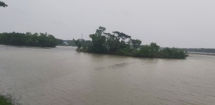 ভোলায় গোপন মিটিংয়ের সময় ৮ জামায়াত নেতা-কর্মী আটক