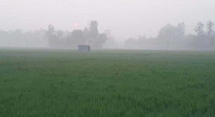 ভোলায় শুরু হয়েছে  শীতের আমেজ
