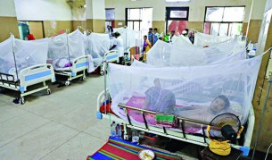 এক দি‌নে ডেঙ্গুতে ৩ মৃত্যু, হাসপাতালে ৫২৩