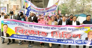 ভোটাধিকার প্রতিষ্ঠায় সরকার পতনের বিকল্প নেই: এলডিপি