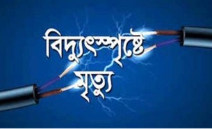 ভোলায় নারিকেল গাছের ডাল কাটতে গিয়ে বিদ্যুস্পৃষ্টে বৃদ্ধের  মৃত্যু