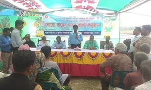 নবাবগঞ্জে বোরো ধানের চারা রোপণ অনুষ্ঠান