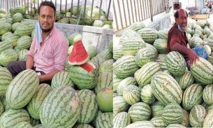 কুমিল্লার হাট বাজার তরমুজে ভরপুর
