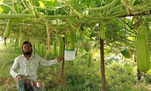 গোপালগঞ্জের জলাবদ্ধ ও অনাবাদি জমি চাষাবাদে কৃষকদের উদ্বুদ্ধ করছেন হানিফ